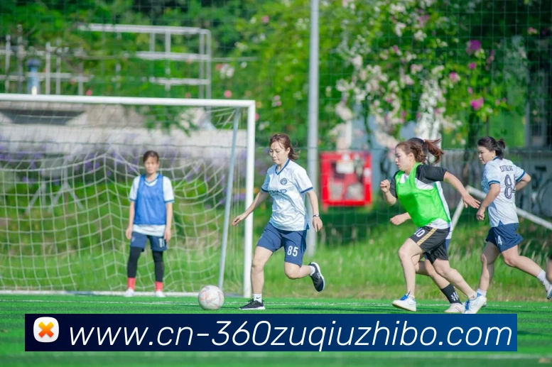 多媒体互动体验